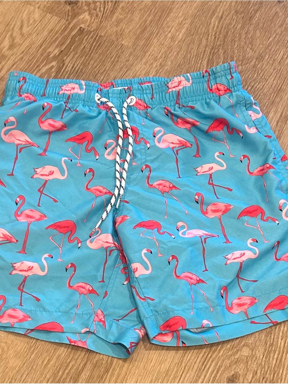 Blue Flamingo Print Swim Shorts
